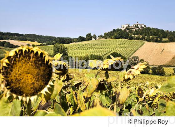 CHAMP DE TOURNESOL  ET VILLAGE MEDIEVAL DE FLAUGNAC, QUERCY BLANC, LOT. (46F03024.jpg)