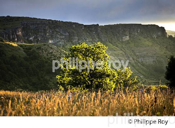 PAYSAGE DU MASSIF DE L'  AIGOUAL , VILLAGE DE CABRILLAC,  CEVENNES , LOZERE. (48F00111.jpg)