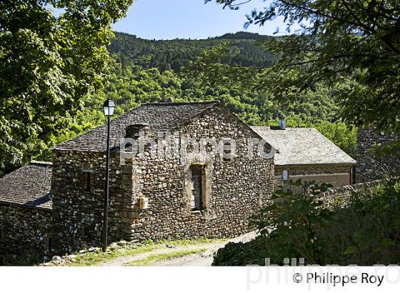 MAISON CEVENOLE, HAMMEAU  DE LA  BOISSONNADE,  VALLEE FRANCAISE,  CORNICHE DES CEVENNES , MOISSAC-VALLEE-FRANCAISE, LOZERE. (48F00232.jpg)