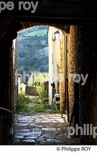 VILLAGE DE BARRE DES CEVENNES,  CORNICHE DES CEVENNES ,  VALLEE FRANCAISE, COMMUNE   BARRE DES CEVENNES, LOZERE. (48F00337.jpg)
