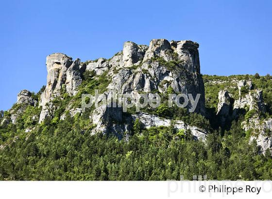 ROCHERS DU CAUSSE MEJEAN ,   VILLE MEDIEVALE DE FLORAC , CORNICHE DES CEVENNES , CONFLUENCE DES VALLEES  DU TARN  ET TARNON  LOZERE. (48F00505.jpg)
