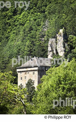 CHATEAU DU VILLAGE DE QUEZAC  ,  GORGES  DU TARN ,  GEVAUDAN, LOZERE. (48F00535.jpg)