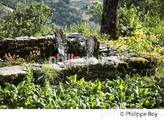 TOMBE PROTESTANTE, FERME DU MERLET, PONT DE MONTVERT, CEVENNES, LOZERE. (48F01816.jpg)