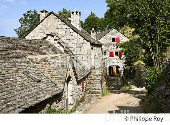 LA FERME ET CHAMBRES D' HOTES DU MERLET, PONT DE MONTVERT, CEVENNES, LOZERE. (48F01828.jpg)