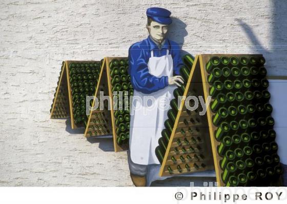 Le vignoble de Champagne (51F00104.jpg)