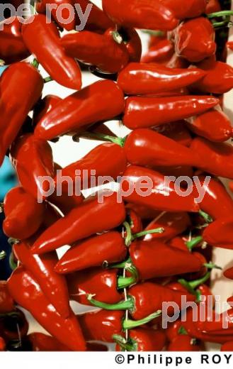 Le piment d' Espelette (64F01204.jpg)