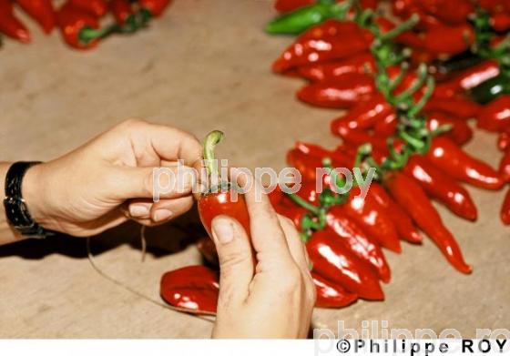 Le piment d' Espelette (64F01217.jpg)