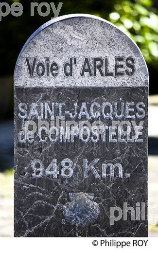 EGLISE SAINTE MARIE, CHEMINS  DE COMPOSTELLE, OLORON SAINTE MARIE, HAUT BEARN, PYRENEES ATLANTIQUES. (64F03139.jpg)