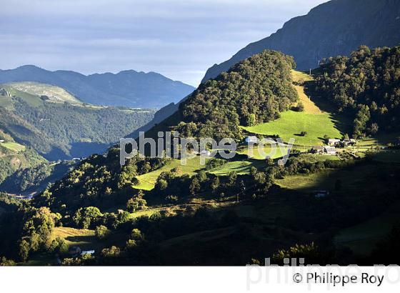 AGRICULTURE DE MONTAGNE, COMMUNE DE SAINTE ENGRACE,  SOULE, PAYS BASQUE,  PYRENEES- ATLANTIQUE. (64F03932.jpg)