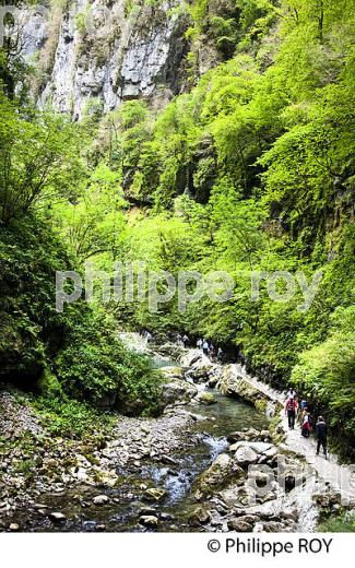 GORGES DE KAKUETTA, COMMUNE  DE SAINTE ENGRACE,   SOULE, PAYS BASQUE,  PYRENEES- ATLANTIQUE. (64F04014.jpg)