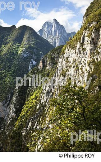 LE CHEMIN DE LA MATURE, VALLEE D' ASPE, COMMUNE D' ETSAUT,  BEARN, PYRENEES ATLANTIQUES. (64F04534.jpg)