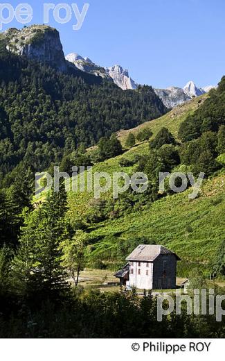 LIGNE CHEMIN DE FER DESAFECTEE , PAU  CANFRANC, COMMUNE DE BORCE VALLEE D' ASPE, BEARN, PYRENEES ATLANTIQUES. (64F04719.jpg)
