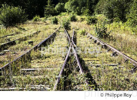 LIGNE CHEMIN DE FER DESAFECTEE , PAU  CANFRANC, COMMUNE DE BORCE VALLEE D' ASPE, BEARN, PYRENEES ATLANTIQUES. (64F04724.jpg)