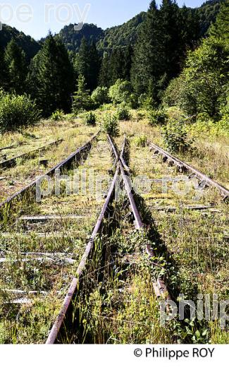 LIGNE CHEMIN DE FER DESAFECTEE , PAU  CANFRANC, COMMUNE DE BORCE VALLEE D' ASPE, BEARN, PYRENEES ATLANTIQUES. (64F04736.jpg)