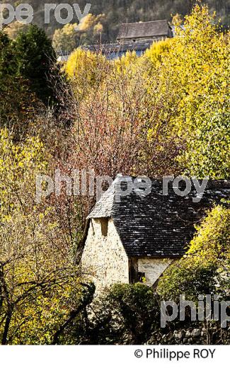 LE VILLAGE DE BILHERES EN OSSAU, VALLEE D' OSSAU, BEARN, PYRENEES ATLANTIQUES. (64F05423.jpg)