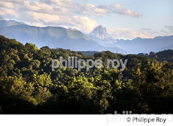 LES PYRENEES VUES DEPUIS LE BOULEVARD DES PYRENEES,  PAU, BEARN. (64F05902.jpg)