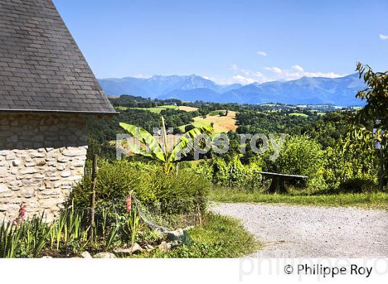 DOMAINE LATAPY, VIGNOBLE DE JURANCON, GAN, BEARN, PYRENEES ATLANTIQUES. (64F06606.jpg)