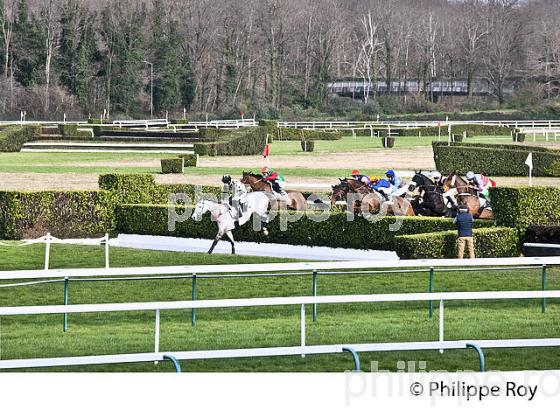 COURSE HIPPIQUE, HIPPODROME DE PAU. (64F06707.jpg)
