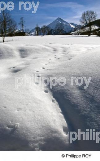 LEs Pyrnes (65F01118.jpg)