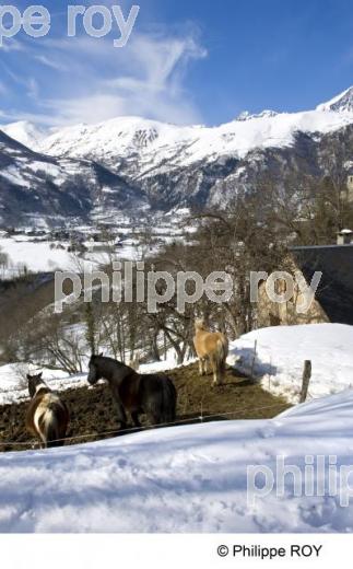 Estensan - Hautes Pyrnes (65F01419.jpg)
