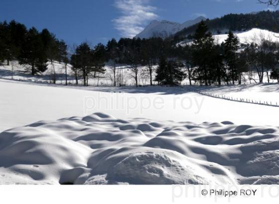 Saint Lary - Hautes Pyrnes (65F01426.jpg)