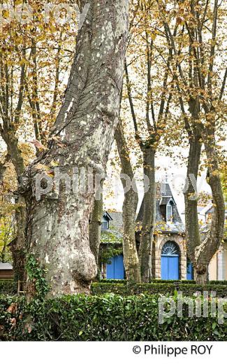 PARC PAYSAGER  DES  HARAS NATIONAUX, TARBES, BIGORRE, HAUTES-PYRENEES.,  TARBES, BIGORRE, HAUTES-PYRENEES. (65F02140.jpg)