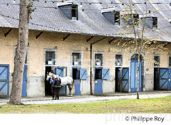 ECURIE ARTIGALA ,  HARAS NATIONAUX, TARBES, BIGORRE, HAUTES-PYRENEES. (65F02204.jpg)