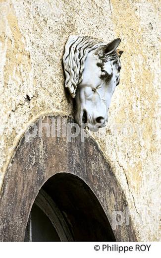 ECURIE DEVEZE,  HARAS NATIONAUX, TARBES, BIGORRE, HAUTES-PYRENEES. (65F02221.jpg)