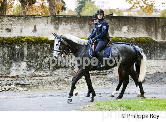 POLICE  MUNICIPALE MONTEE DE TARBES, HARAS NATIONAUX, BIGORRE, HAUTES-PYRENEES. (65F02309.jpg)