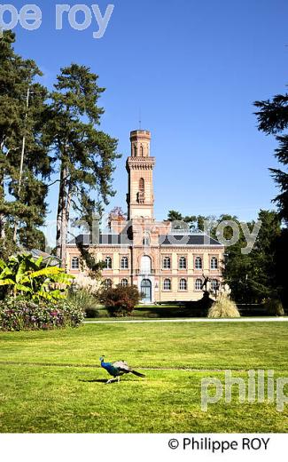 LE MUSEE ET LE  JARDIN MASSEY, TARBES, BIGORRE, HAUTES-PYRENEES. (65F02330.jpg)