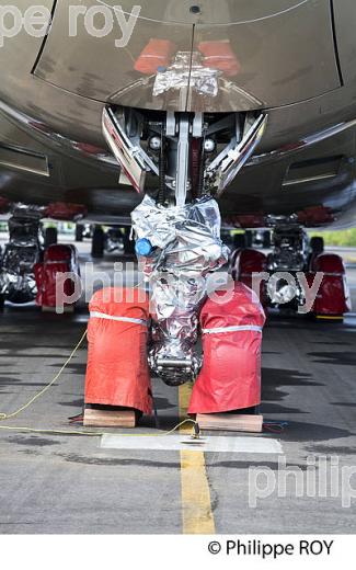 TARMAC AEROSAVE, AEROPORT DE TARBES LOURDES PYRENEES. (65F02814.jpg)