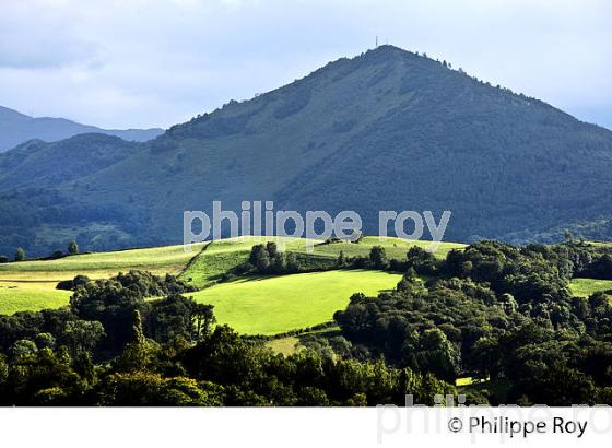 LE PIC DU JER  ET PAYSAGE AGRICOLE, VILLAGE  DE AVERAN,    BIGORRE. (65F03119.jpg)