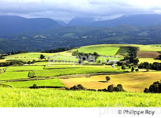FERME  ET PAYSAGE AGRICOLE DE MONTAGNE, COMMUNE DE JULOS,   BIGORRE. (65F03133.jpg)