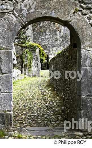 LE CHATEAU MEDIEVAL , MUSEE PYRENEEN,   VILLE DE  LOURDES, BIGORRE, HAUTES-PYRENEES. (65F03303.jpg)