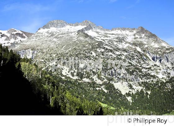 LE  MASSIF  DU NEOUVIELLE,  VALLEE D' AURE,  HAUTES-PYRENEES. (65F04503.jpg)