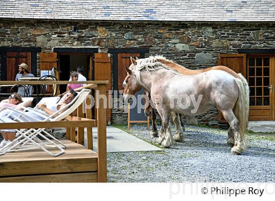 HOSPICE DU RIOUMAJOU, EN ETE,  SAINT-LARY-SOULAN,  HAUTES-PYRENEES. (65F07119.jpg)