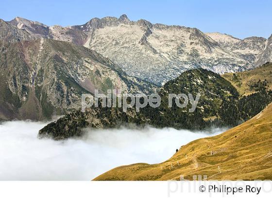COL DU PORTET, STATION DE SKI DE SAINT-LARY, EN ETE,  VALLEE D' AURE, HAUTES-PYRENEES. (65F07601.jpg)