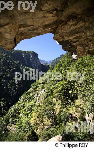 GORGE DE LA CARANCA, RANDONNEE PEDESTRE, CONFLENT, ROUSSILLON, OCCITANIE. (66F00705.jpg)