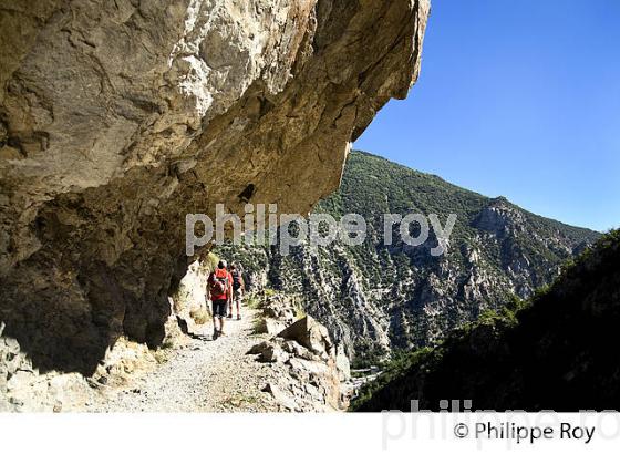 GORGE DE LA CARANCA, RANDONNEE PEDESTRE, CONFLENT, ROUSSILLON, OCCITANIE. (66F00706.jpg)