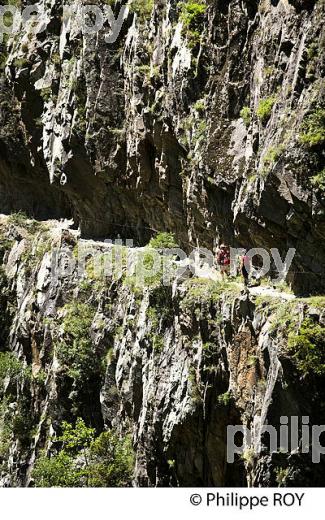 GORGE DE LA CARANCA, RANDONNEE PEDESTRE, CONFLENT, ROUSSILLON, OCCITANIE. (66F00715.jpg)