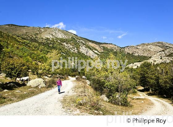 RANDONNEUR, VALLEE D' ANGOUSTRINE, MASSIF DU CARLIT,  CERDAGNE, ROUSSILLON, CATALOGNE. (66F01806.jpg)