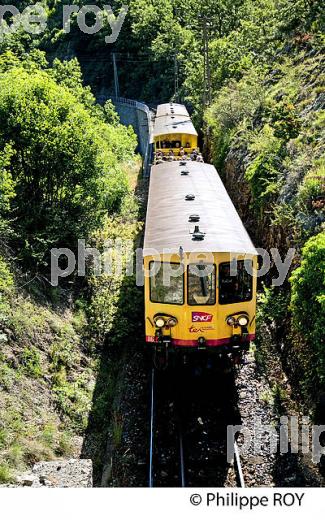 LE TRAIN JAUNE,   CERDAGNE, ROUSSILLON, CATALOGNE, PYRENEES ORIENTALES. (66F01908.jpg)