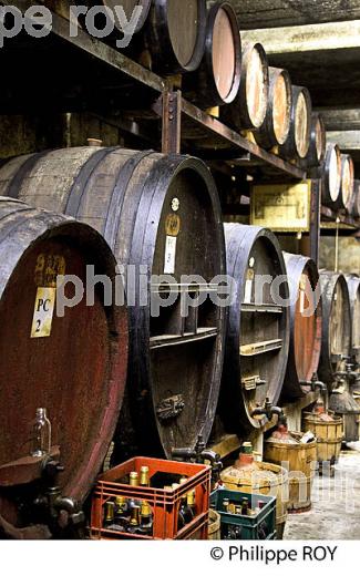 VIN DE BANYULS, CAVE DE L' ETOILE , BANYULS-SUR-MER ,  ROUSSILLON, CATALOGNE. (66F02634.jpg)