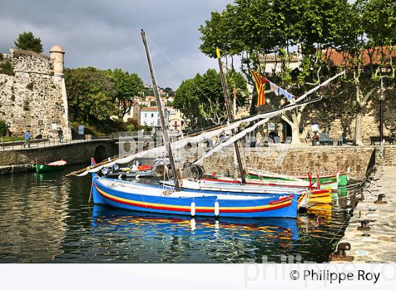 LE VILLAGE FORTIFIE  DE COLLIOURE,  ET LA COTE VERMEILLE, ROUSSILLON, CATALOGNE. (66F02825.jpg)