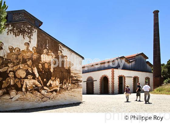 LA DYNAMITERIE, SITE DE PAULILLES, COMMUNE DE  PORT VENDRES , COTE VERMEILLE, ROUSSILLON, CATALOGNE. (66F03108.jpg)
