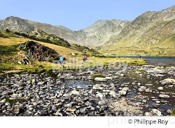 LAC DE TREBENS, LES ETANGS DU  MASSIF DU CARLIT,  CERDAGNE, ROUSSILLON. (66F03322.jpg)
