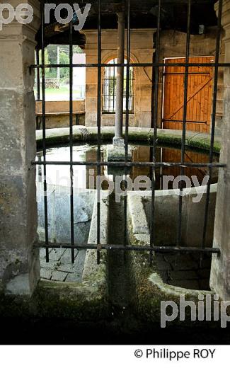 FONTAINE LAVOIR, VALLEE DE L'OGNON, HAUTE-SAONE, FRANCE (70F00239.jpg)