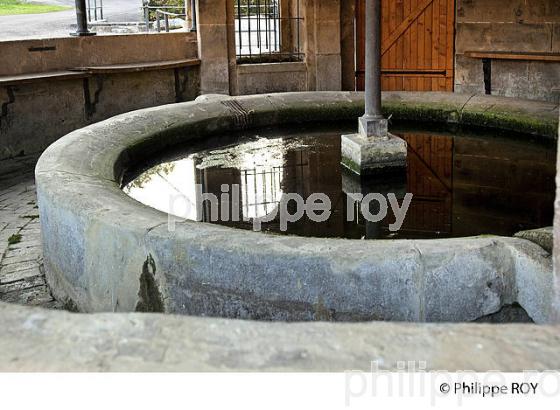 FONTAINE LAVOIR, VALLEE DE L'OGNON, HAUTE-SAONE, FRANCE (70F00301.jpg)