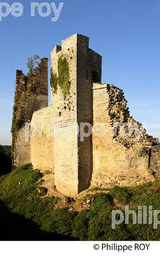 CHATEAU FORT D'ORICOURT, HAUTE-SAONE, FRANCE (70F00619.jpg)