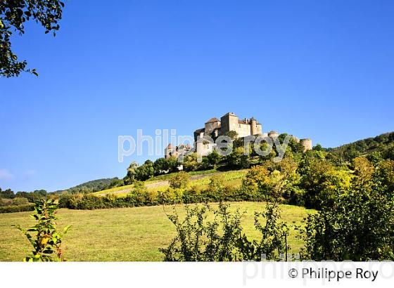 CHATEAU DE BERZE LE CHATEL, ROUTE LAMARTINE, MACONNAIS,  BOURGOGNE. (71F00340.jpg)